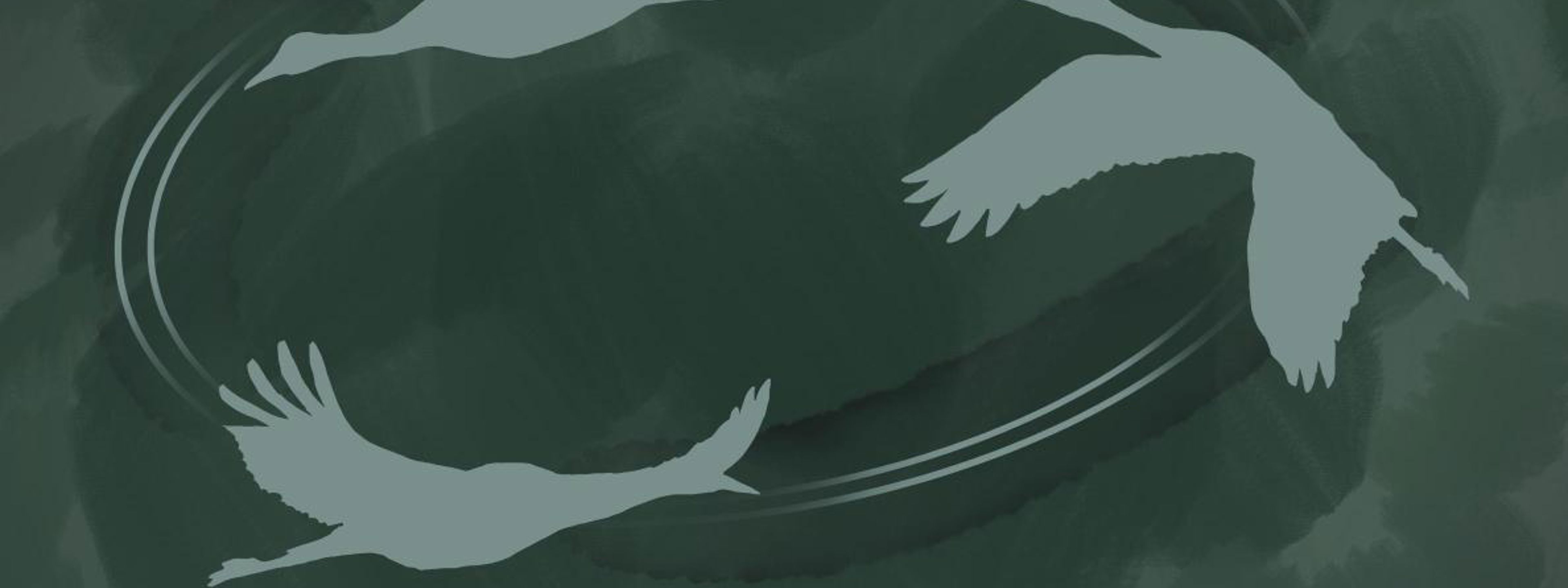 3 kvite svanar flyg i ring