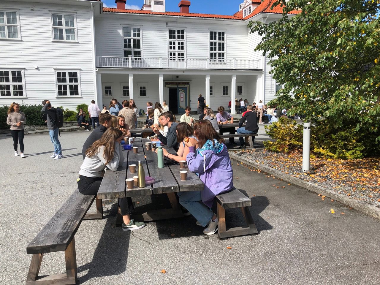 Elevar på skuleplassen framfor skulen.